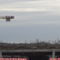 15_55-mast.jpg