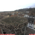 15_55-nest.jpg