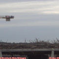 16_00-mast.jpg
