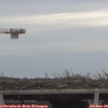16_05-mast.jpg