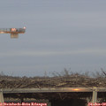 16_45-mast.jpg