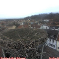 16_50-nest.jpg