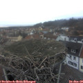 16_55-nest.jpg