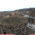 08_15-nest.jpg