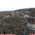 08_40-nest.jpg