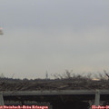 08_55-mast.jpg