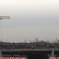 09_20-mast.jpg