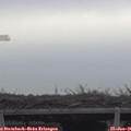 09_30-mast.jpg