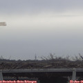 09_35-mast.jpg