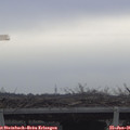 09_40-mast.jpg
