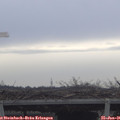 09_55-mast.jpg