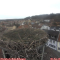 09_55-nest.jpg