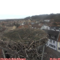 10_00-nest.jpg