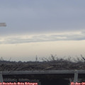 10_05-mast.jpg