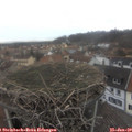 10_05-nest.jpg