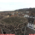 10_10-nest.jpg