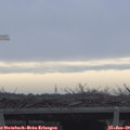 10_15-mast.jpg