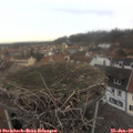 10_15-nest.jpg