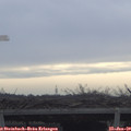 10_20-mast.jpg