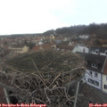 10_20-nest.jpg