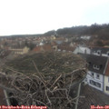 10_25-nest.jpg