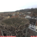 10_40-nest.jpg