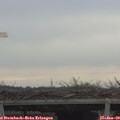 10_45-mast.jpg