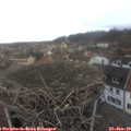 10_55-nest.jpg