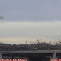 11_00-mast.jpg