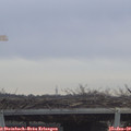 11_05-mast.jpg