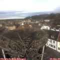 11_10-nest.jpg