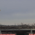 11_15-mast.jpg