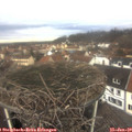 11_15-nest.jpg
