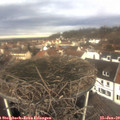 11_20-nest.jpg