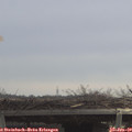 11_25-mast.jpg