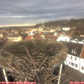 11_25-nest.jpg