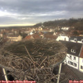 11_30-nest.jpg