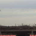 11_35-mast.jpg
