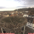 11_35-nest.jpg