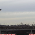 11_40-mast.jpg