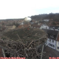 11_55-nest.jpg