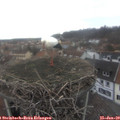 12_05-nest.jpg