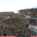 12_10-nest.jpg