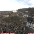 12_15-nest.jpg