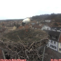 12_25-nest.jpg