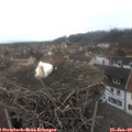 12_30-nest.jpg