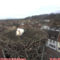 12_35-nest.jpg