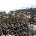12_40-nest.jpg