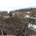 12_45-nest.jpg