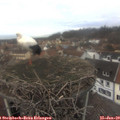 12_55-nest.jpg